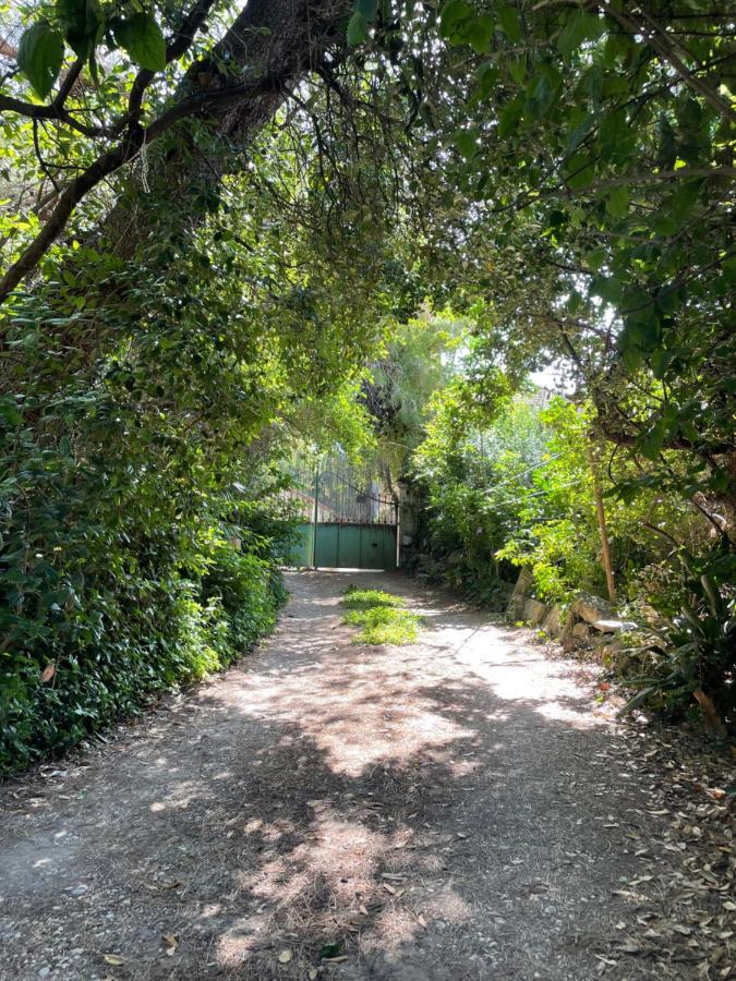 Villa Leona Clim Park Bollène Exteriér fotografie