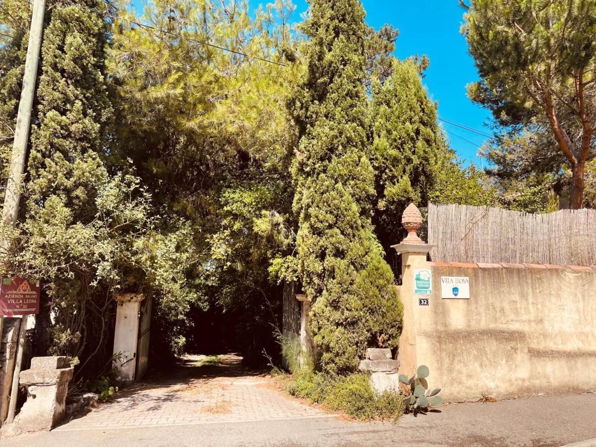 Villa Leona Clim Park Bollène Exteriér fotografie