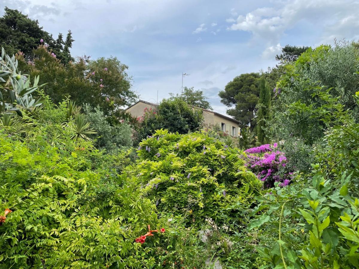 Villa Leona Clim Park Bollène Exteriér fotografie