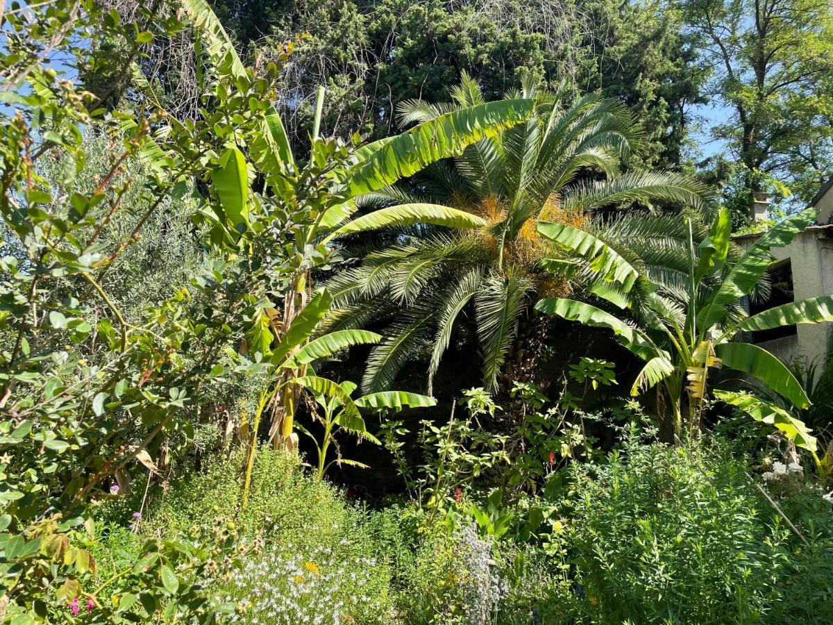 Villa Leona Clim Park Bollène Exteriér fotografie