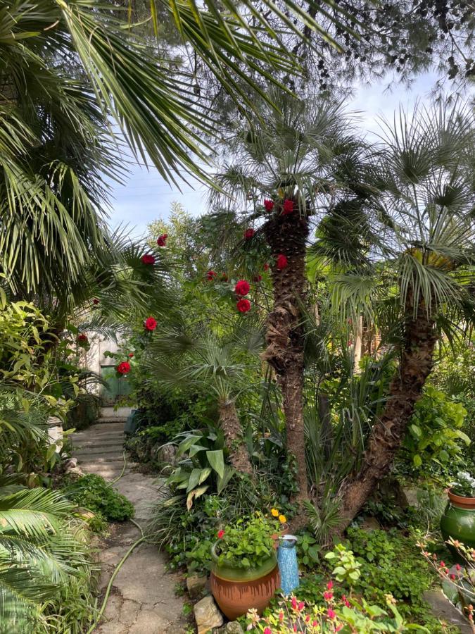Villa Leona Clim Park Bollène Exteriér fotografie